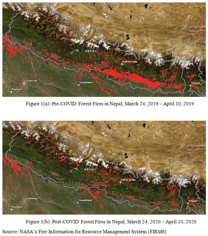 Nepal sees drop in wildfires during lockdown - Nepali Times
