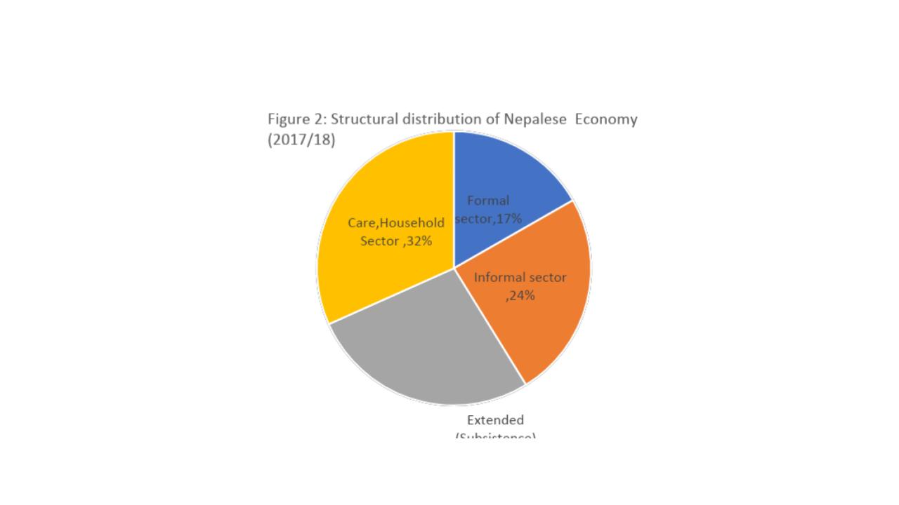 Care economy Pie chart 