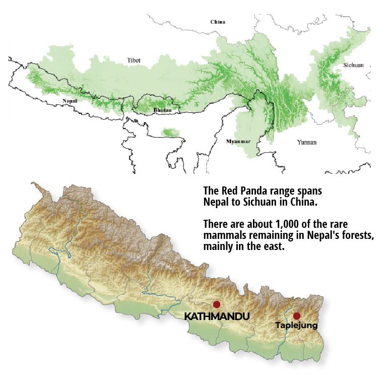 Red Panda distribution and habitat