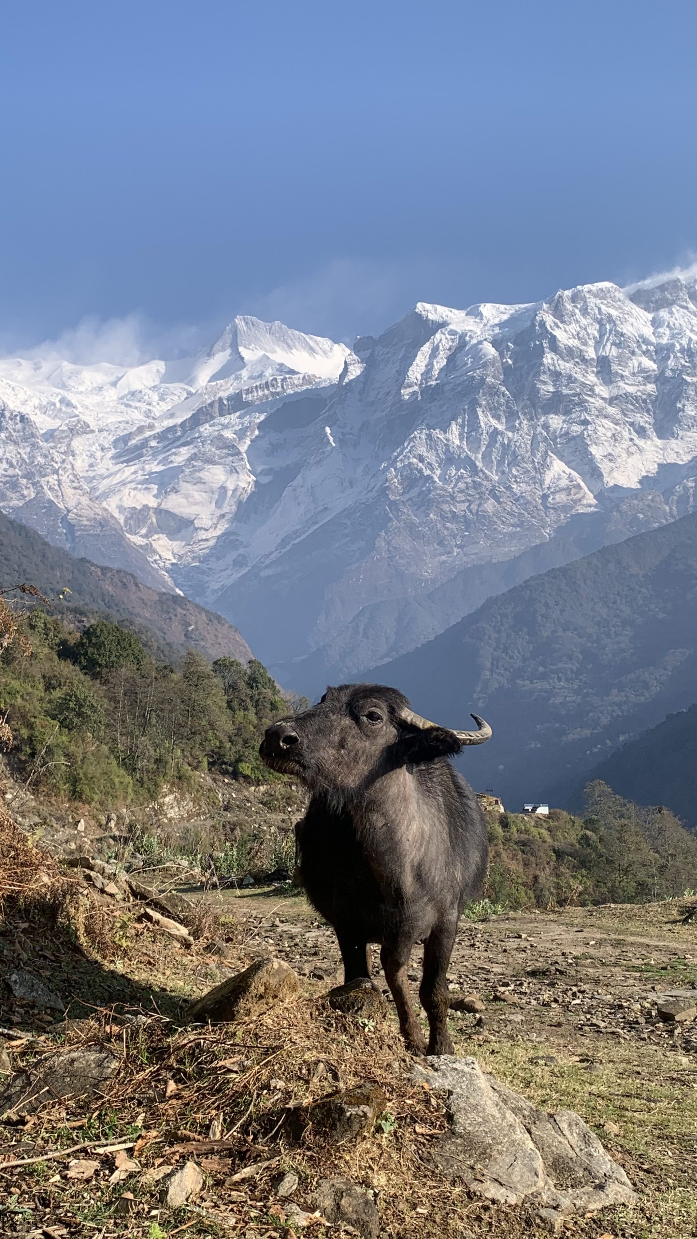 Sikles Nepal NT 4