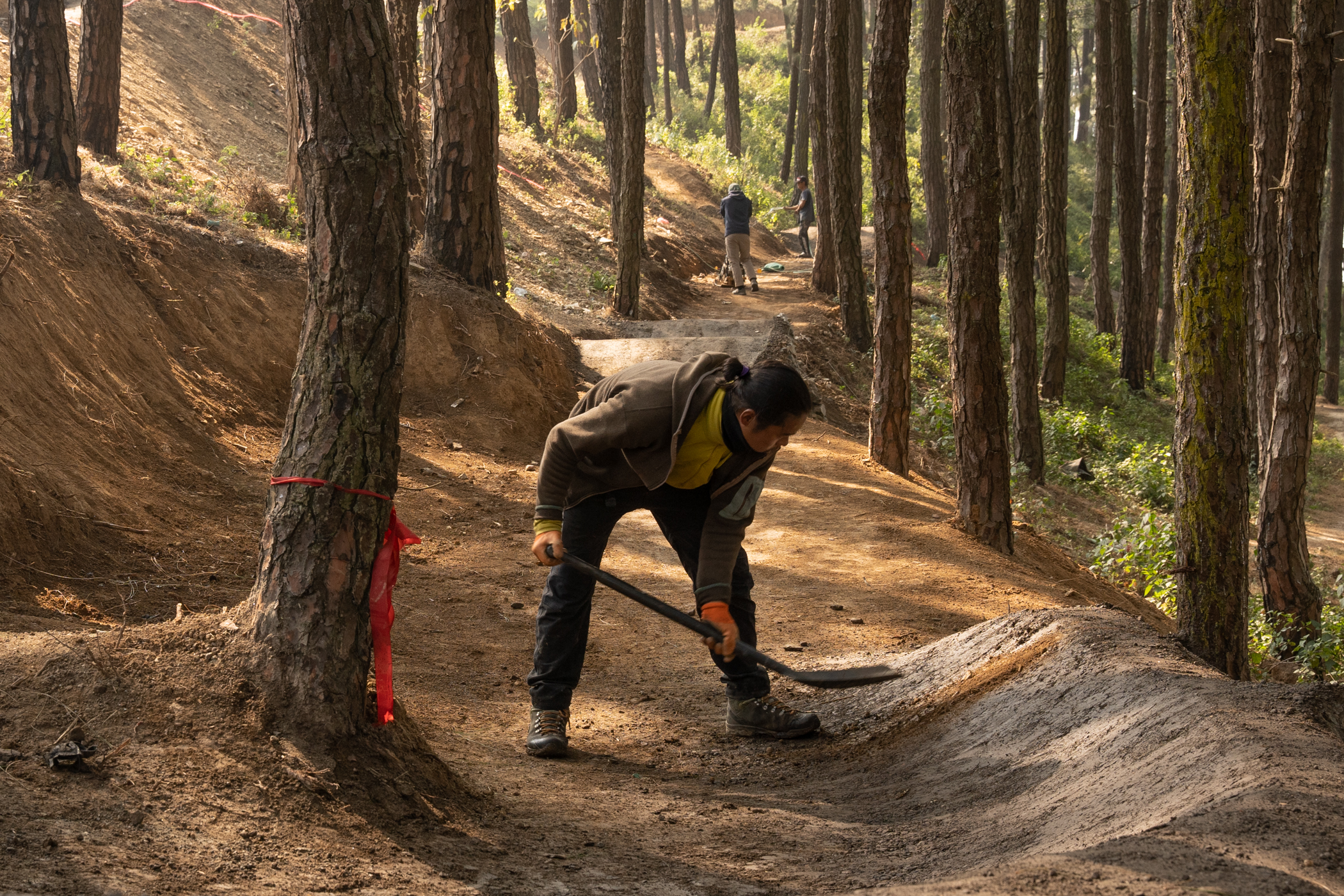 Wheeling in the woods NT