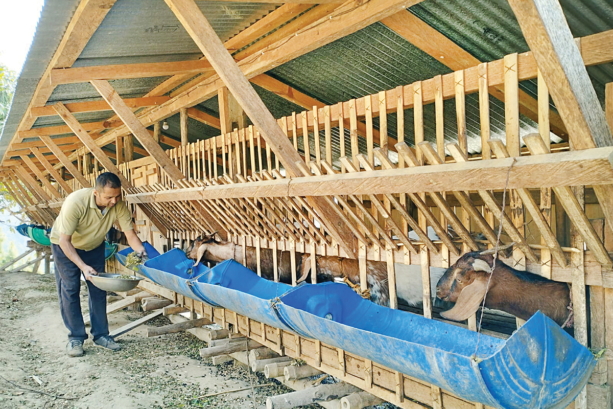 Eastern Nepal’s depopulating mountains NT