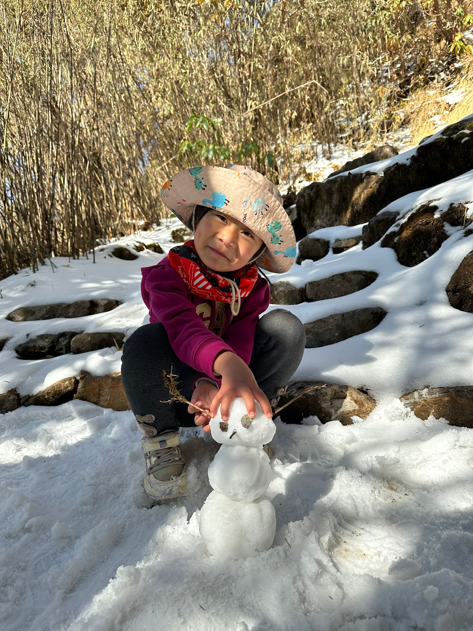 Sherli goes trekking 4