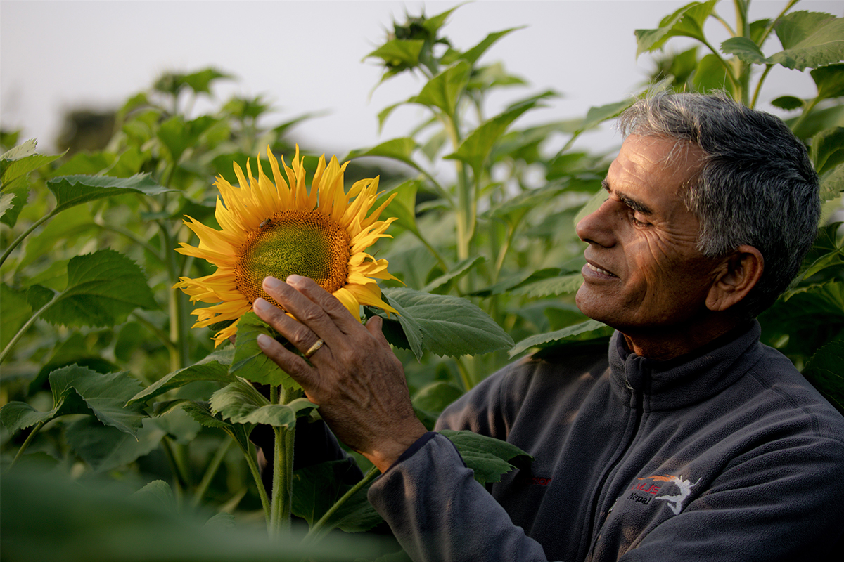 organic farming in Nepal