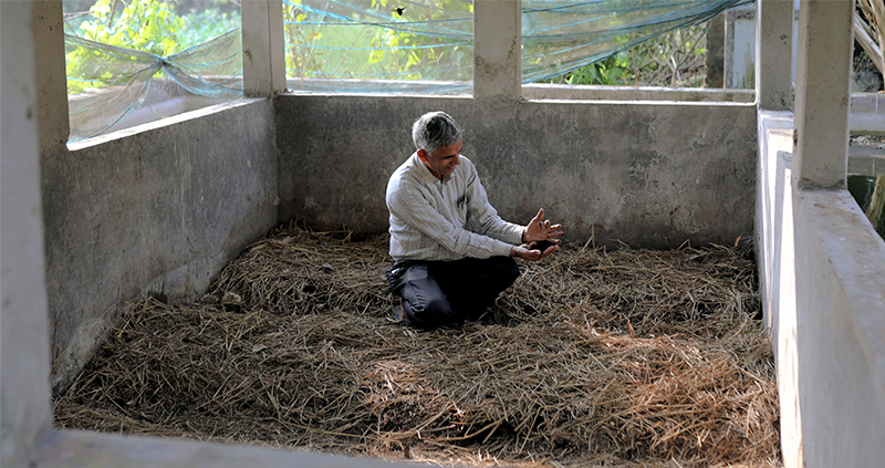 organic farming in Nepal