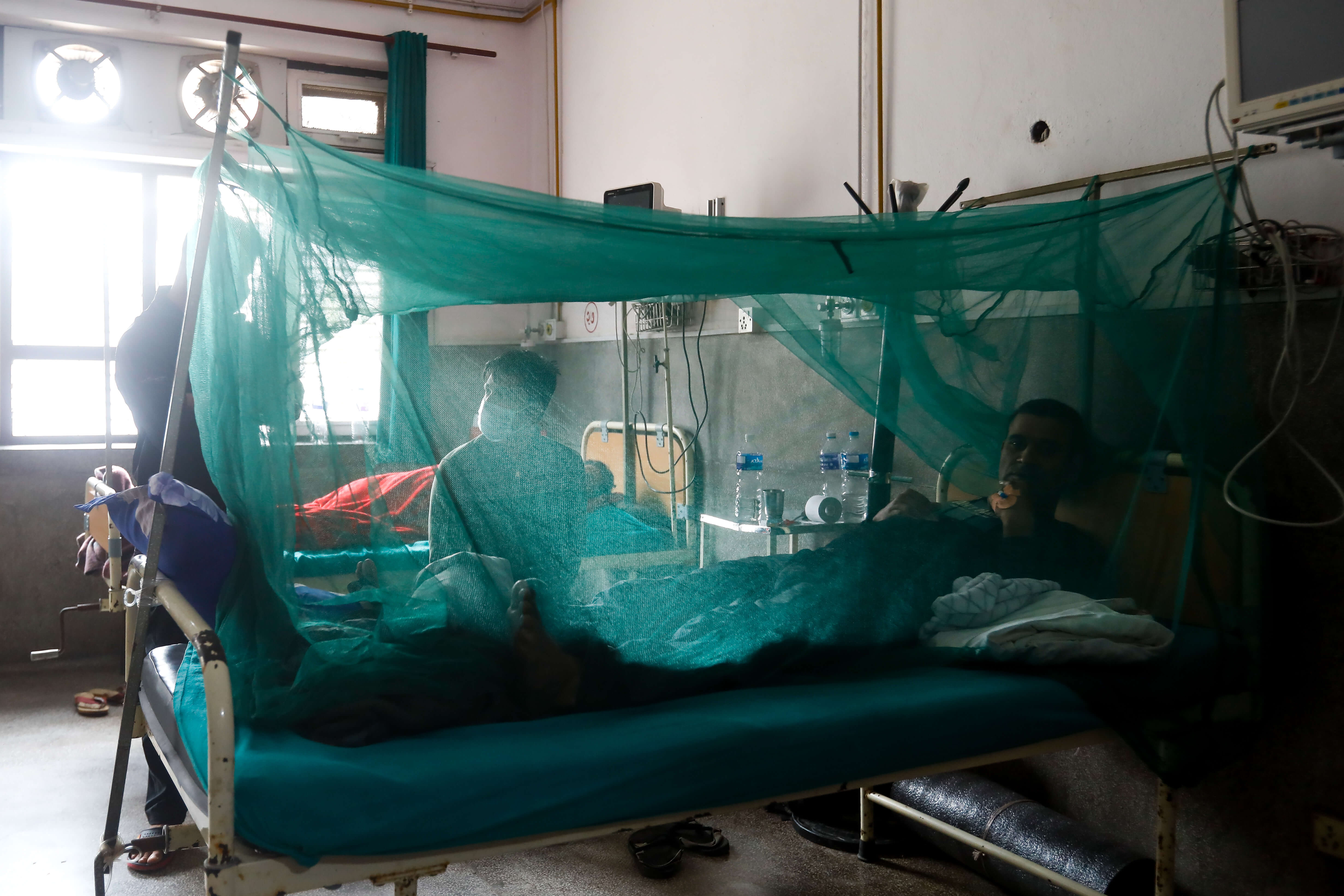 dengue