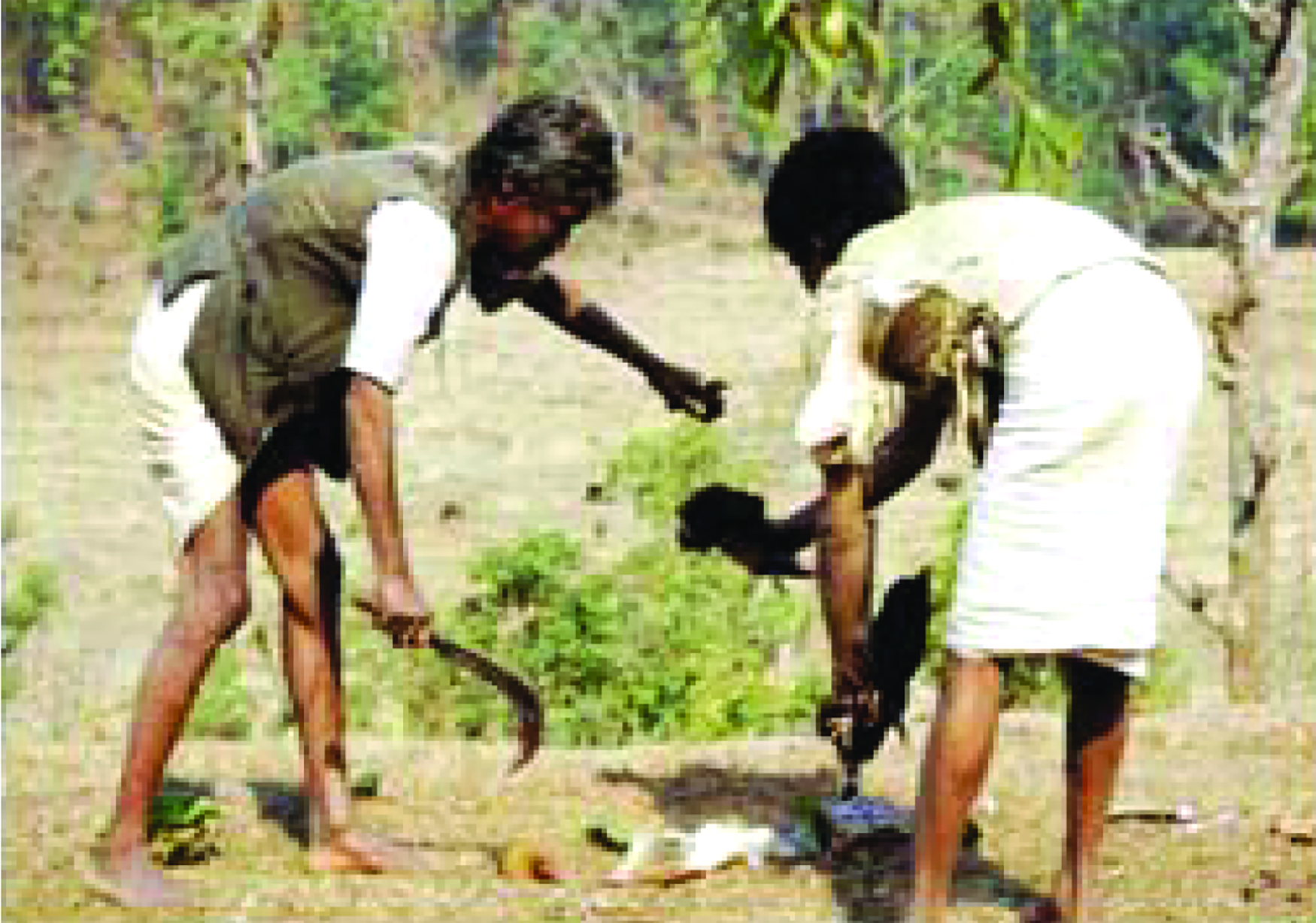 Kusunda ritual sacrifice 
