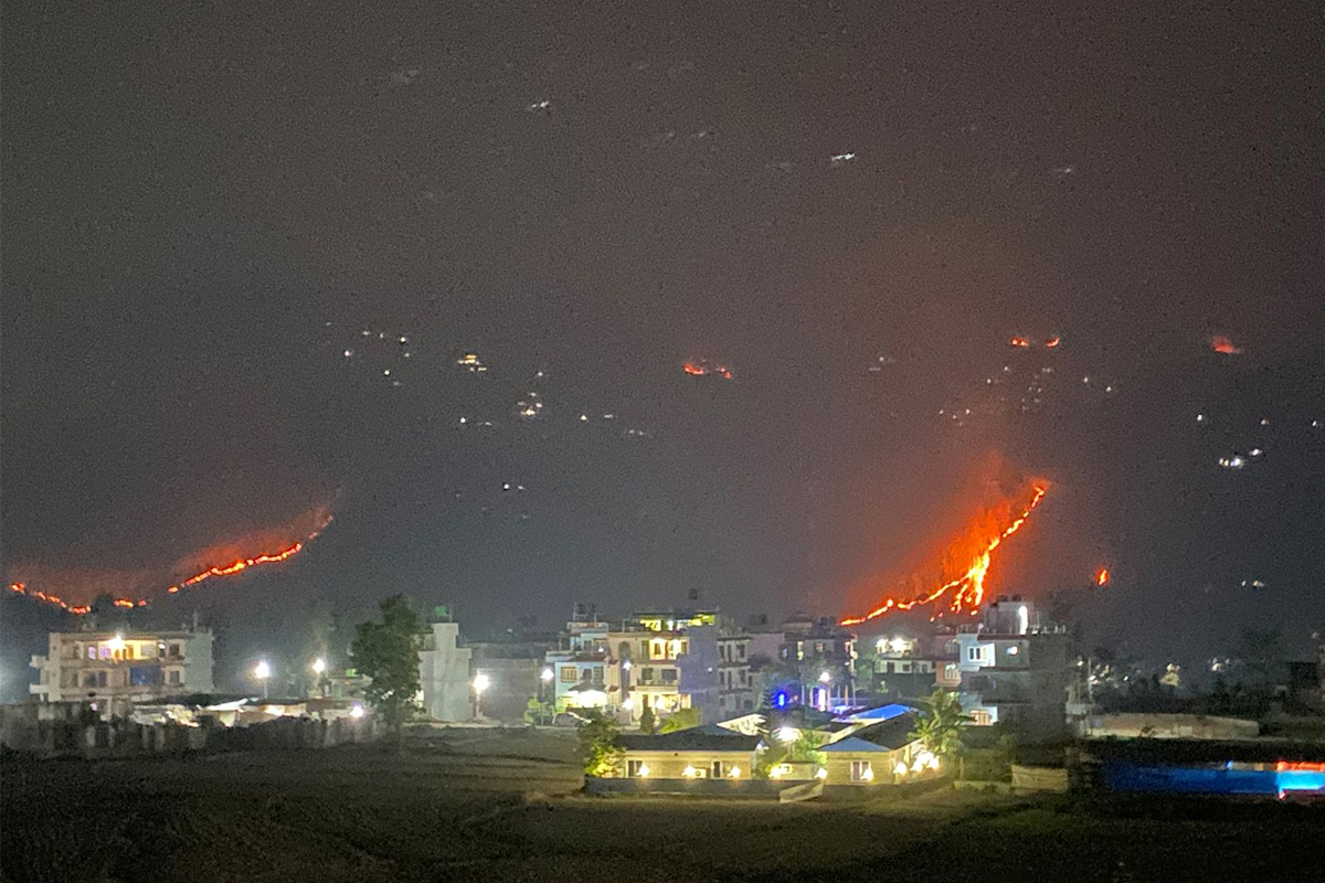 Wildfire NT