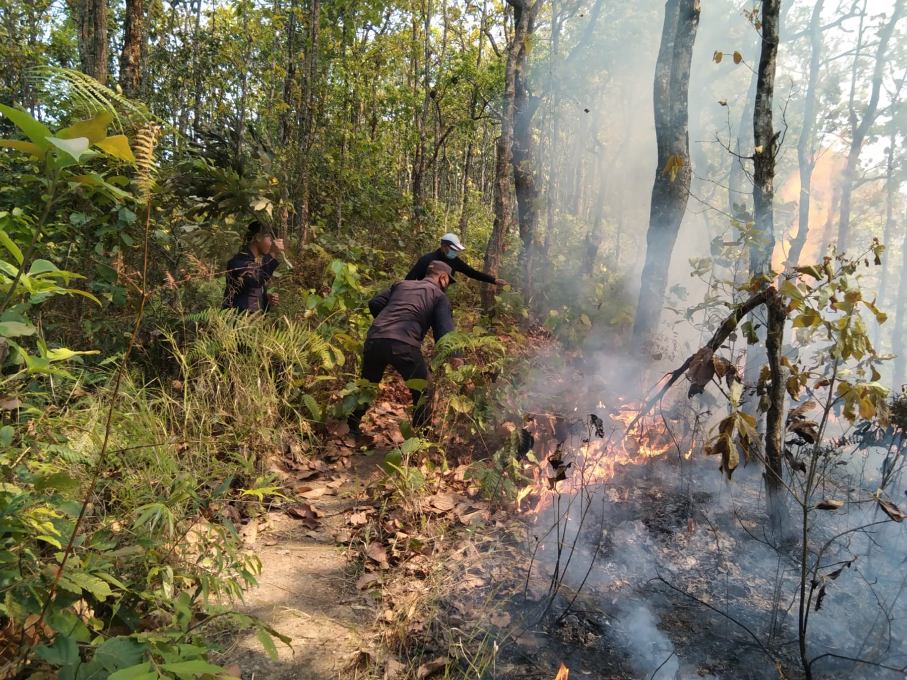 Wildfire NT 4
