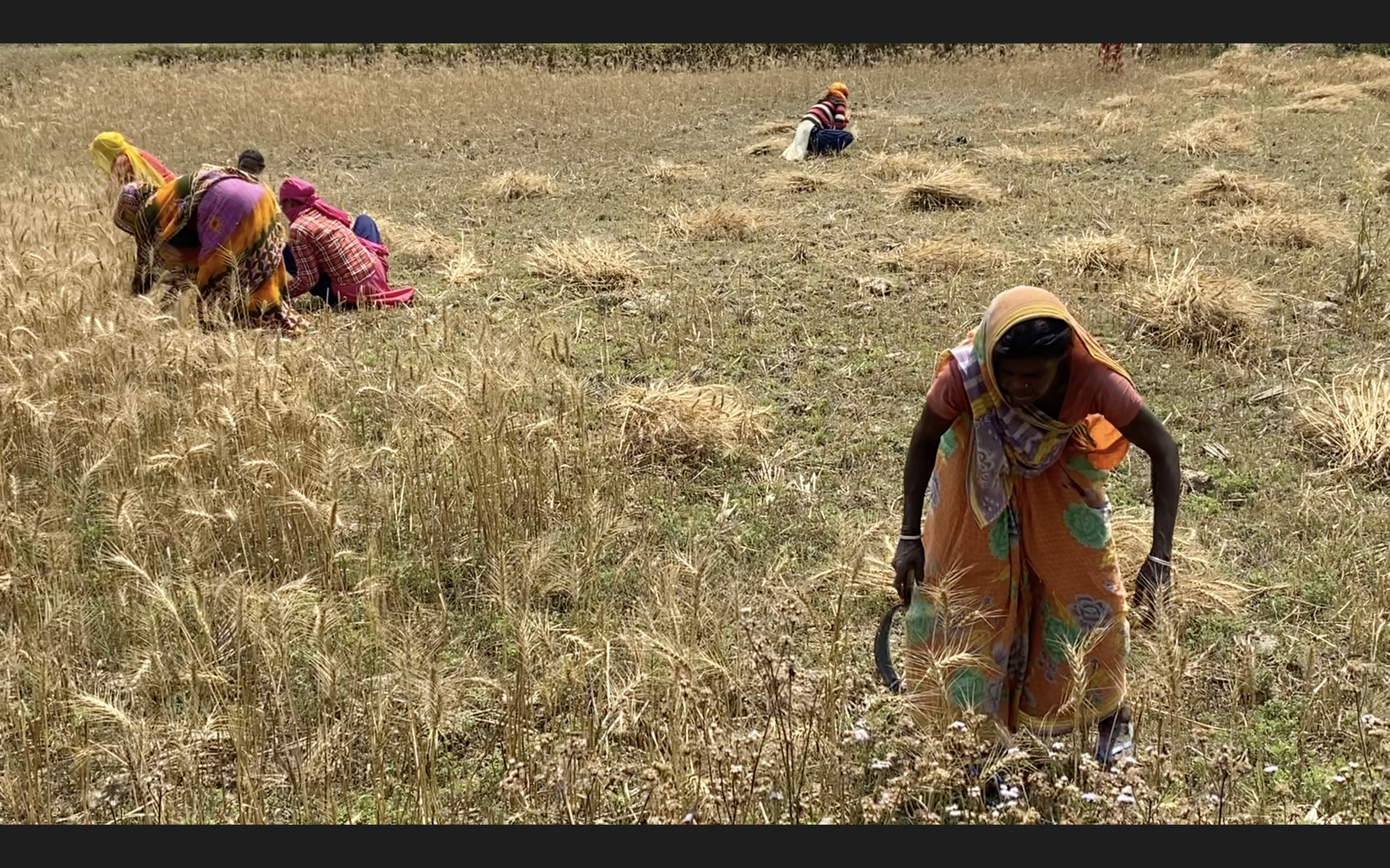 Mothers of Sarlahi 2