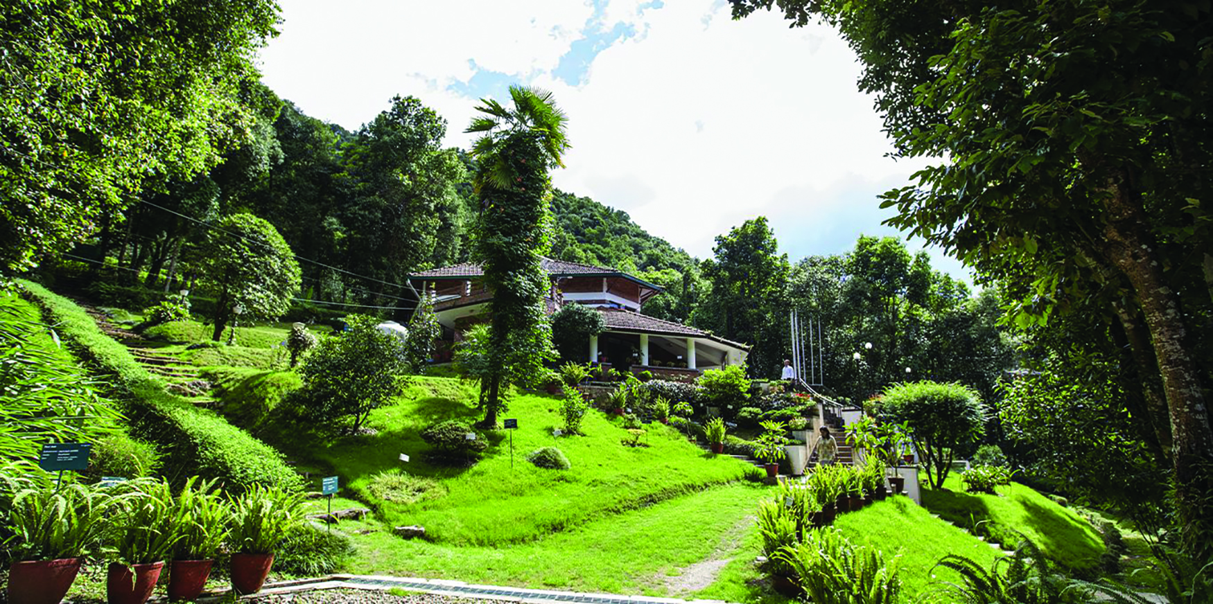 Living Mountain Lab NT