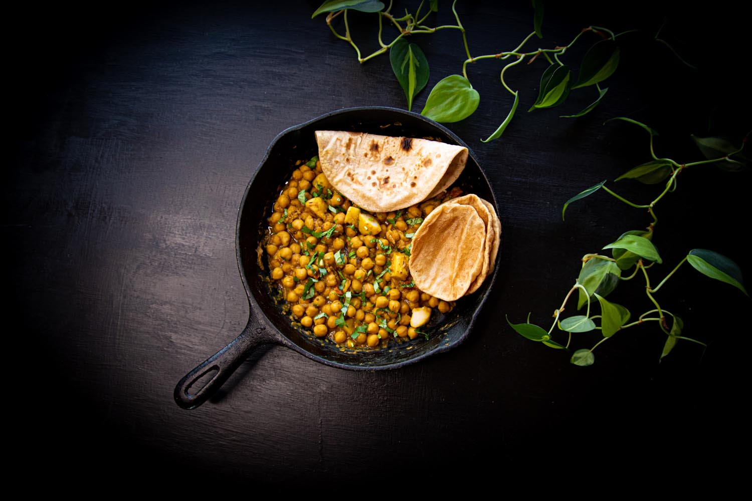 Plant based himalaya 2