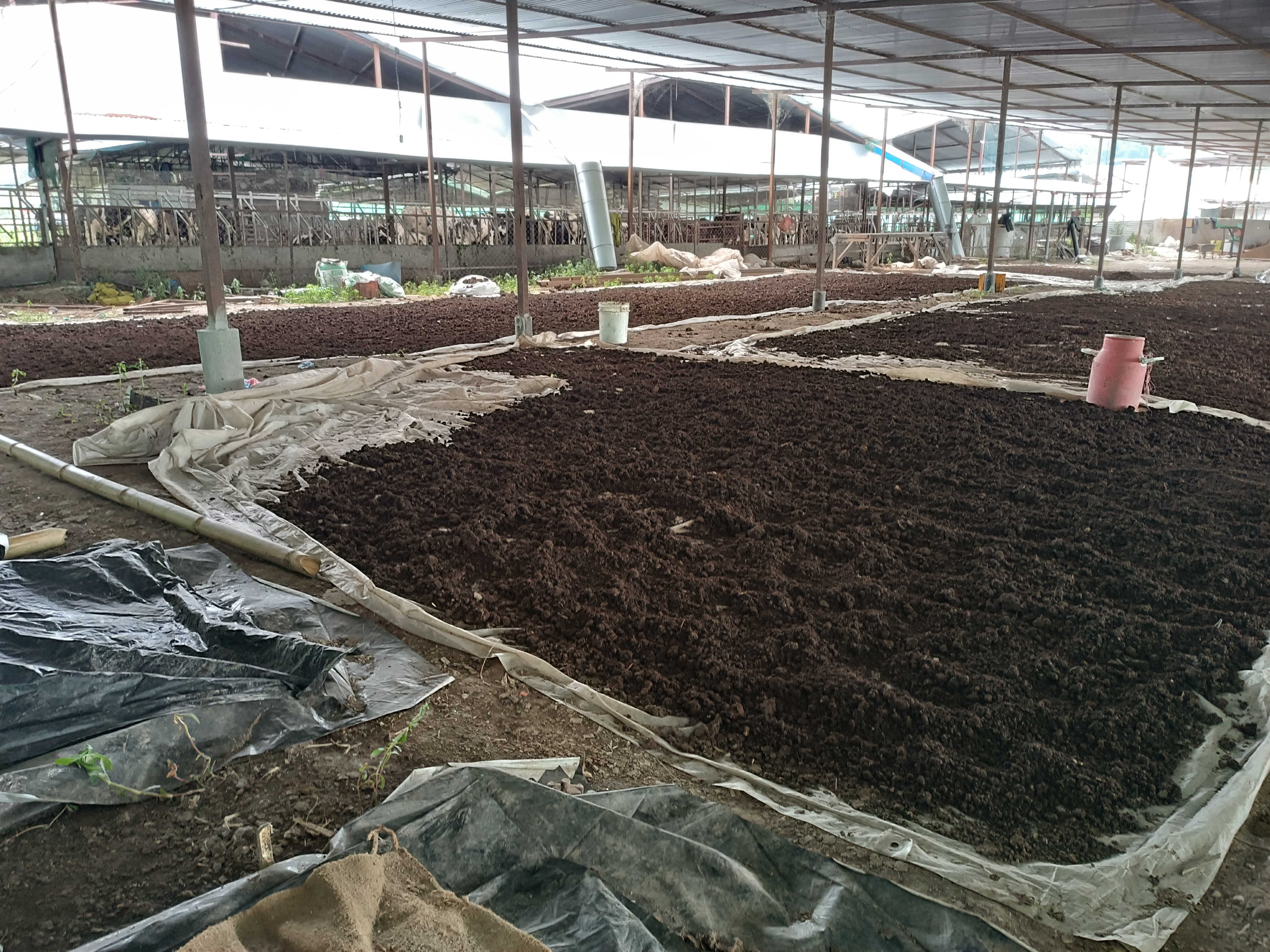 Vermicomposting