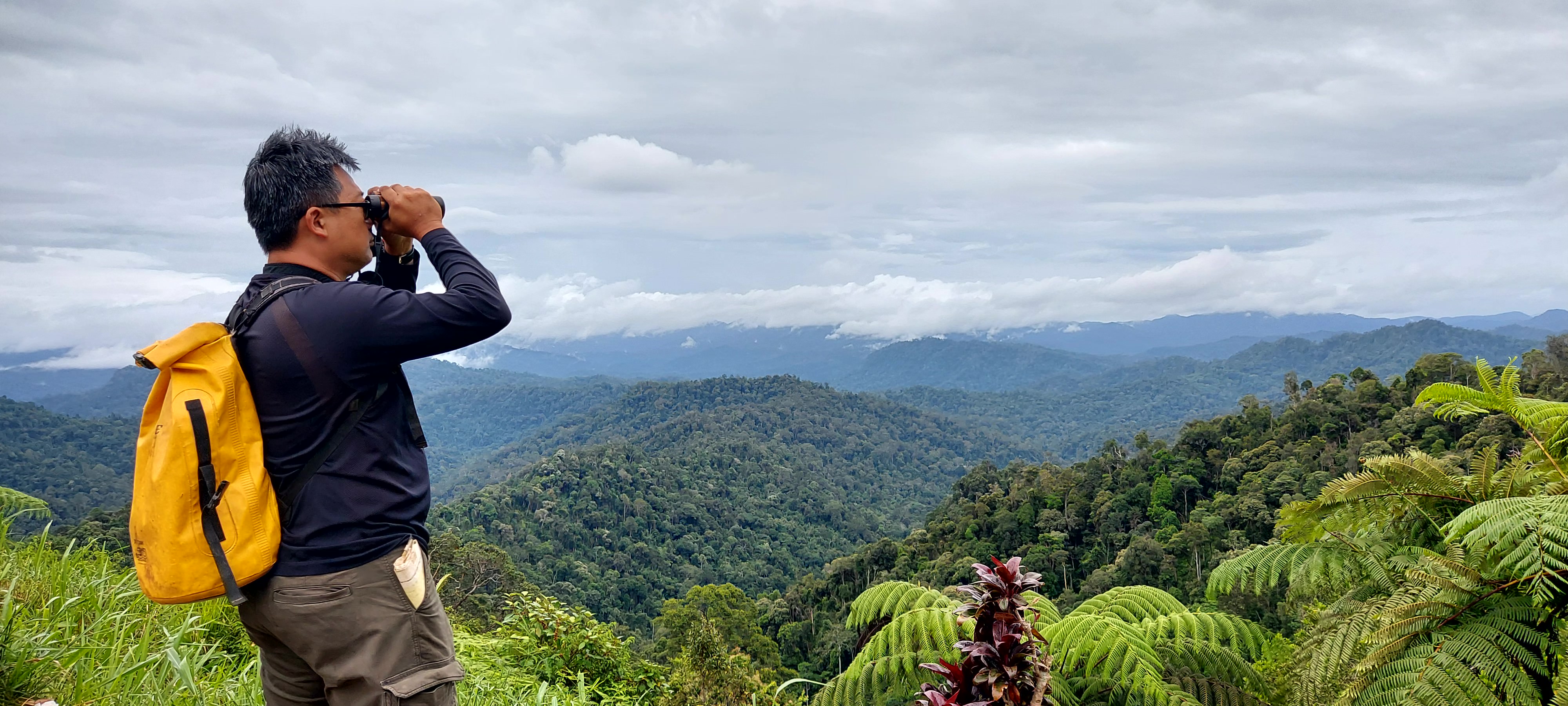 Royal Belum State Park