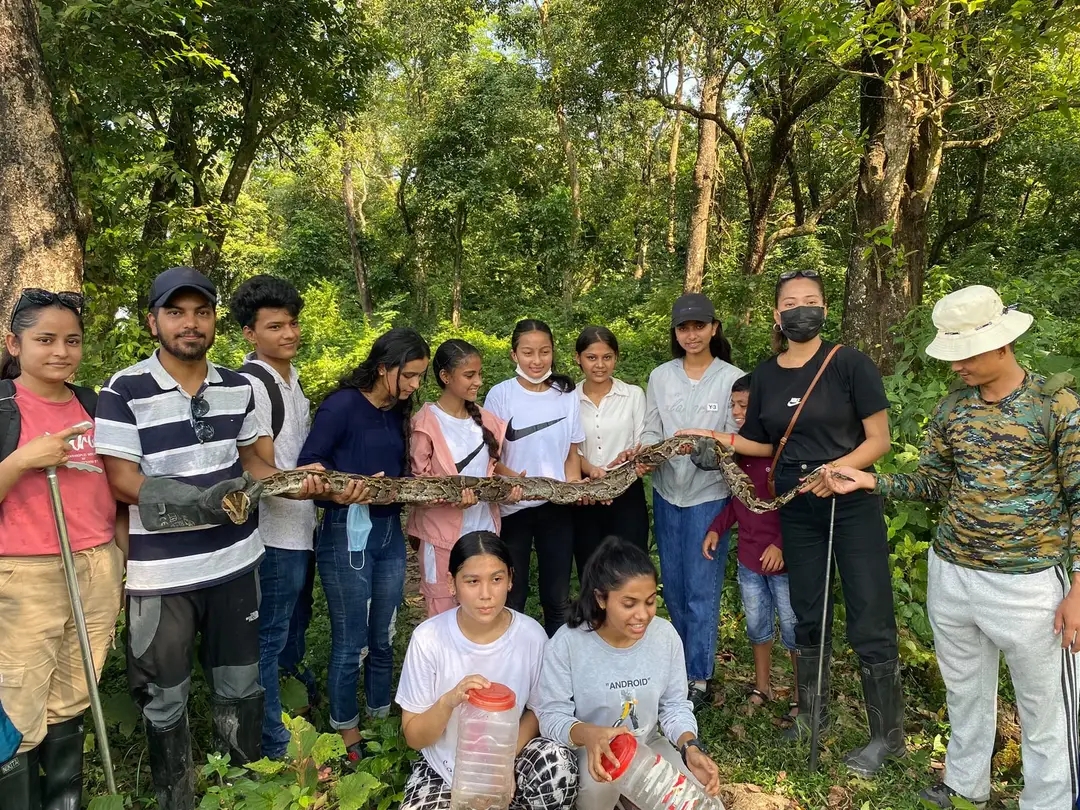 Snake rescue