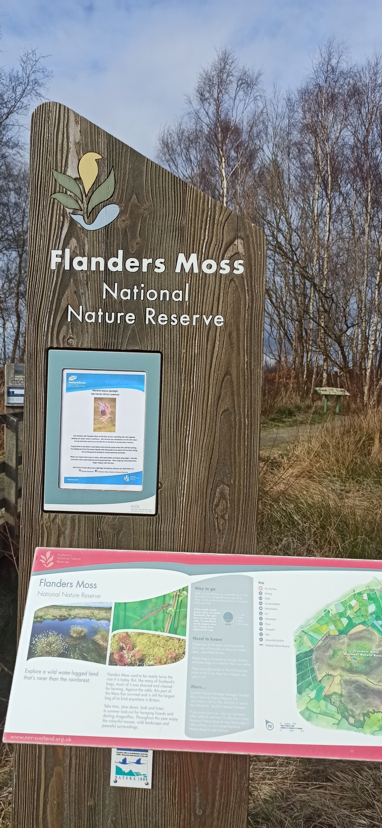 Let’s not forget mosses NT