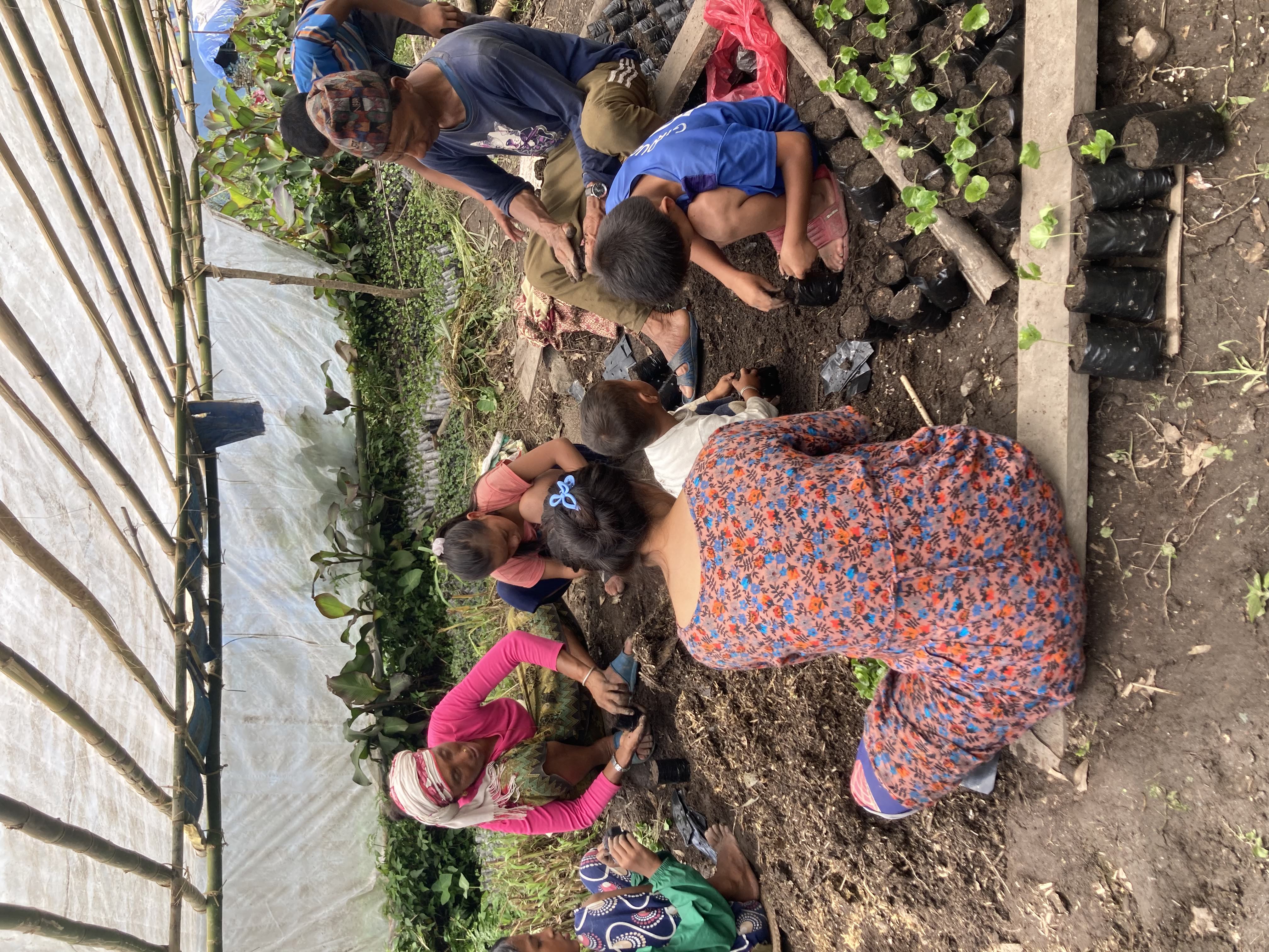 Coffee in eastern Nepal