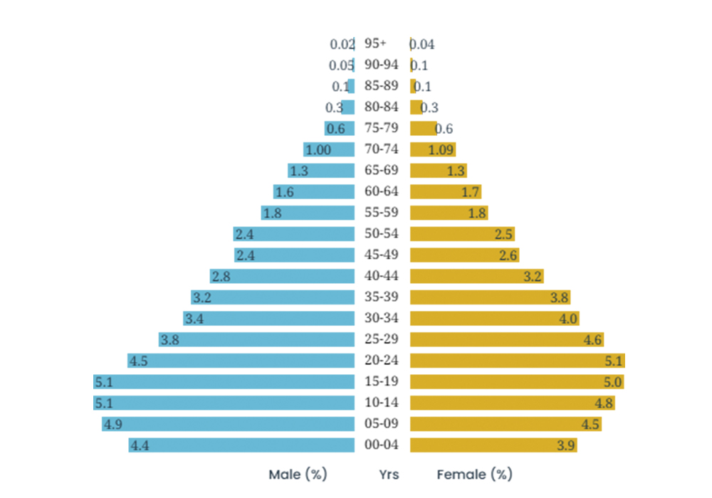 demographic transition