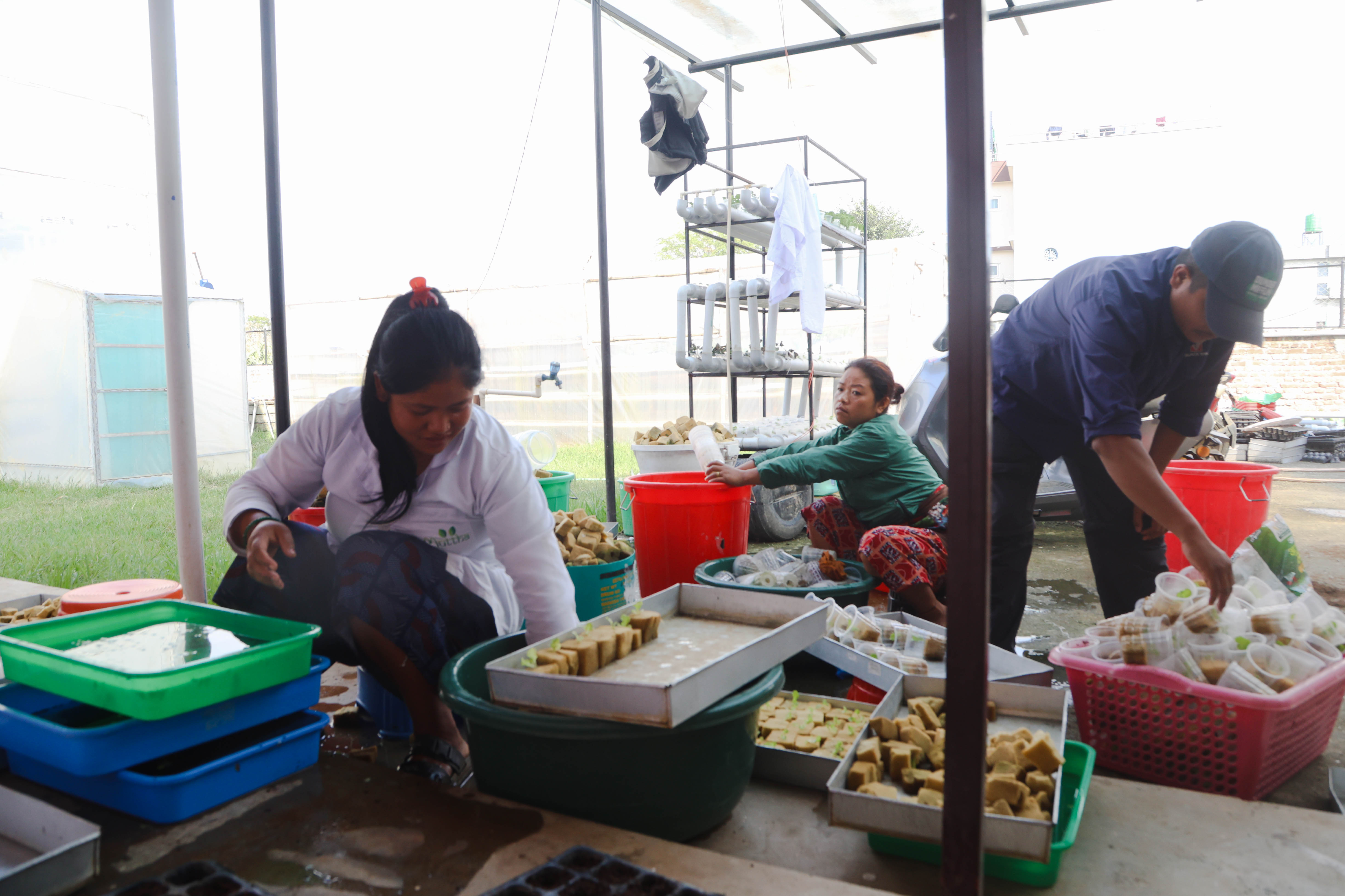 Alternative farming in urban areas