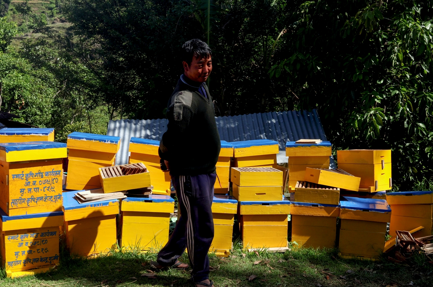 Beekeeping Musikot NT