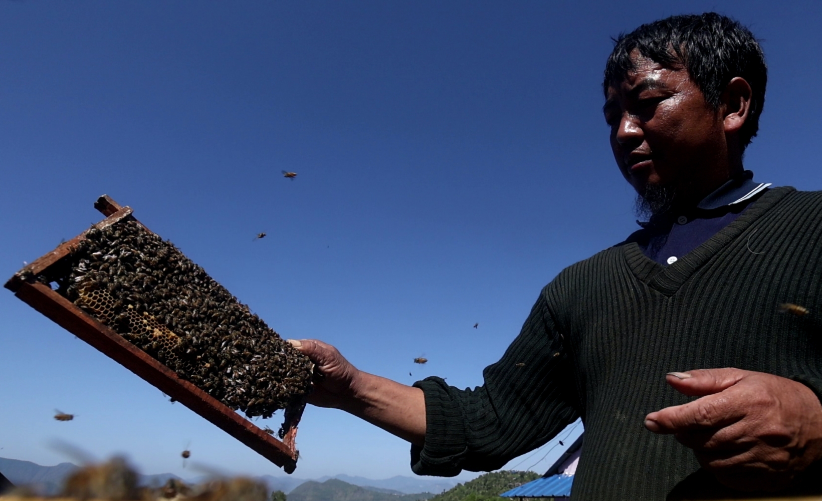 Beekeeping Musikot NT