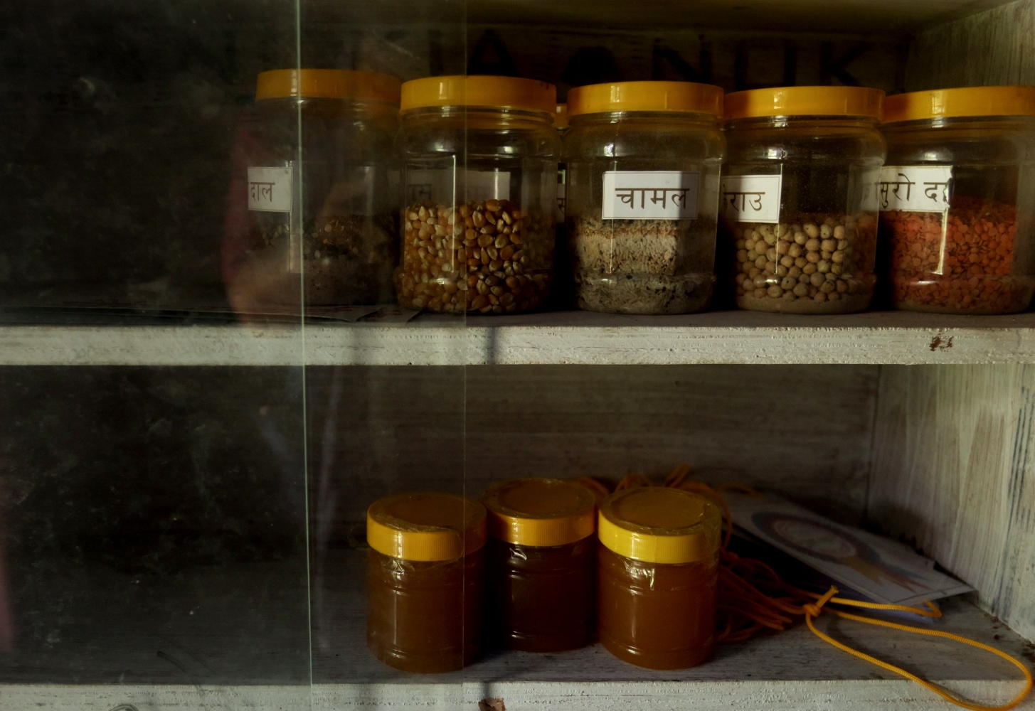 Beekeeping Musikot NT