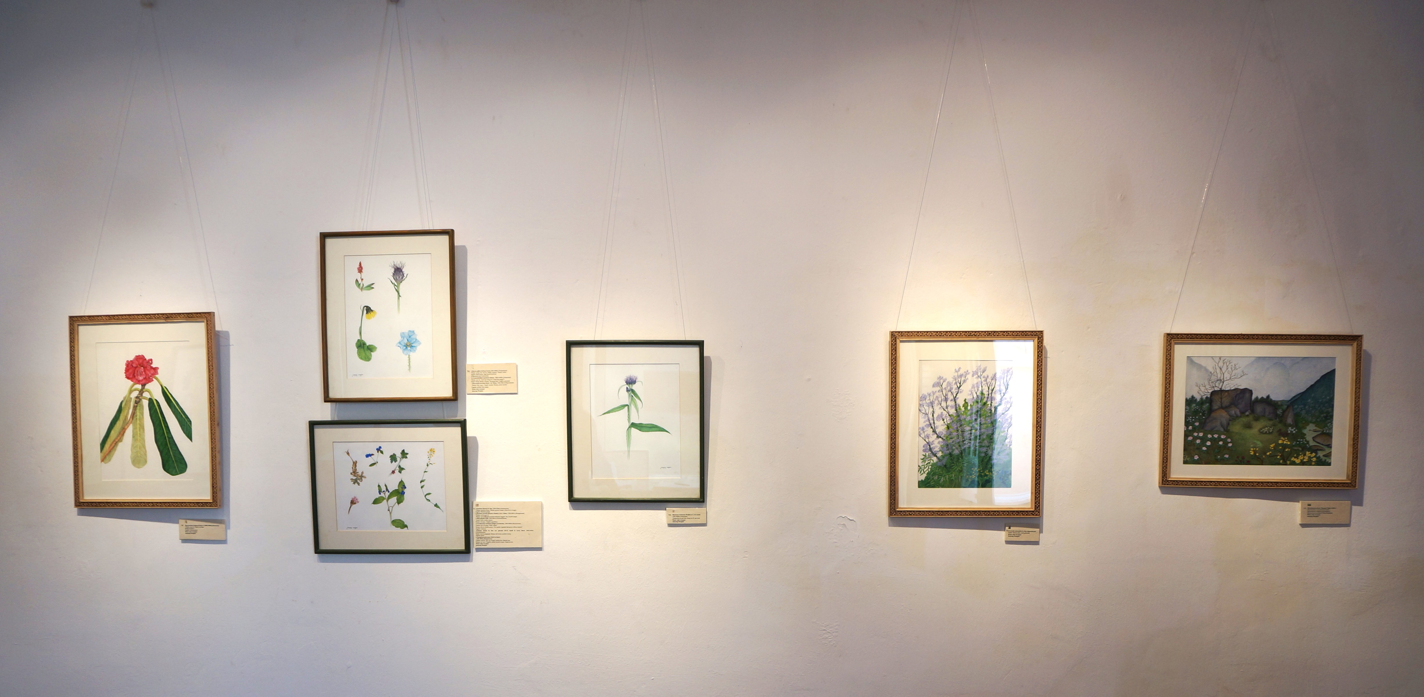 Botanical art