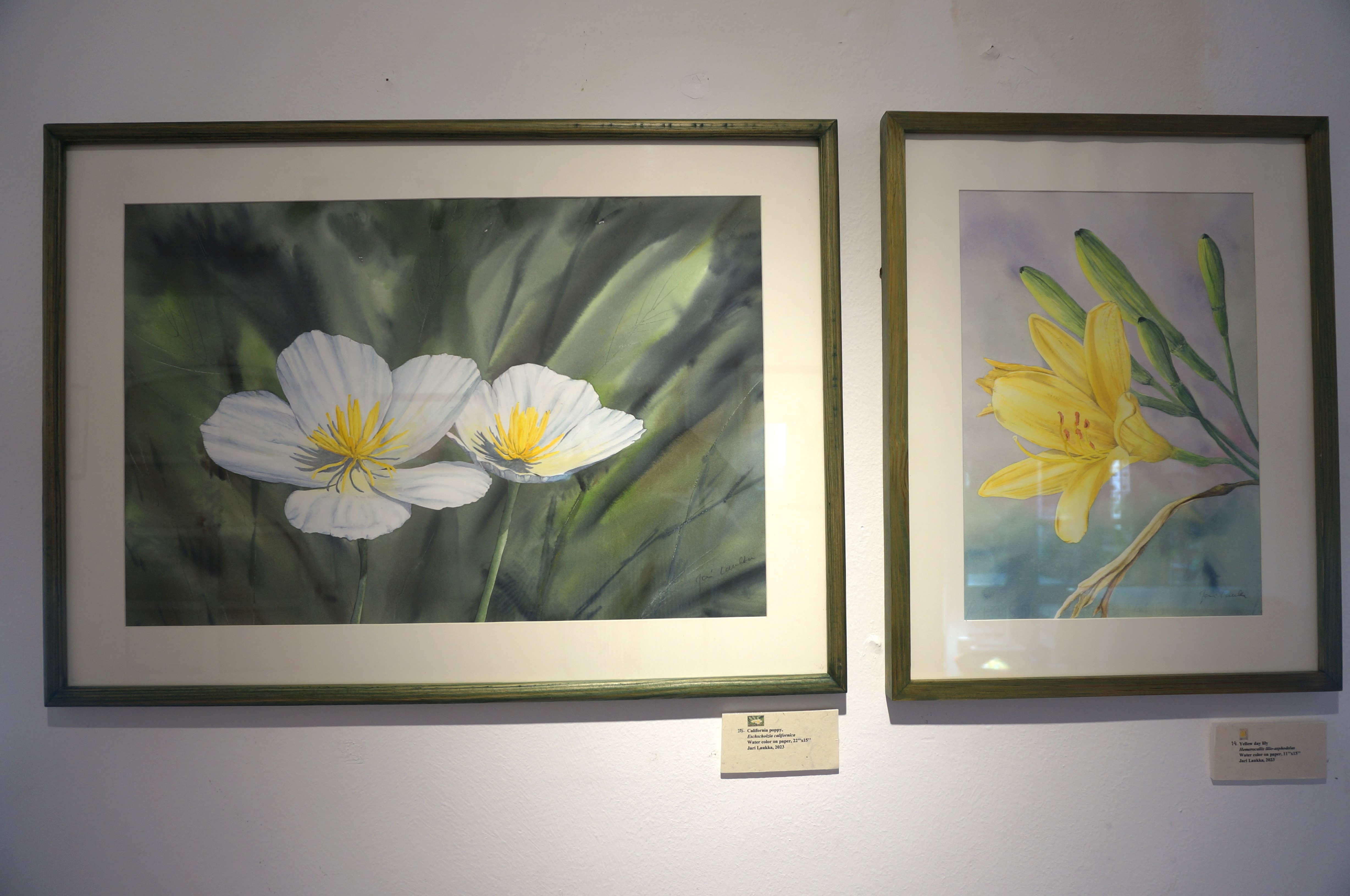 Botanical art
