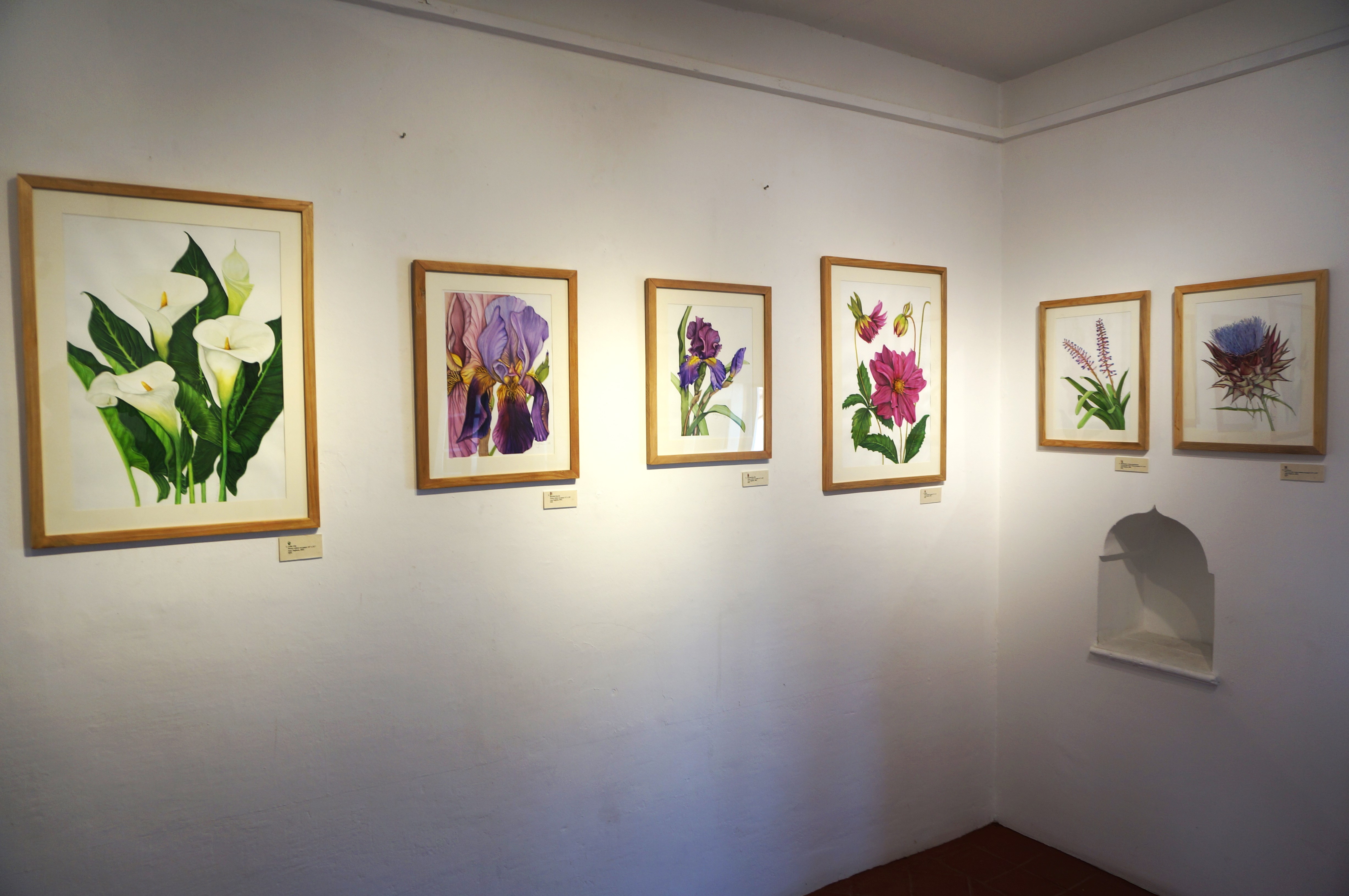 Botanical art
