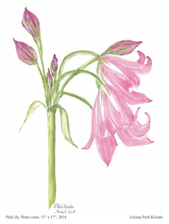 Botanical art