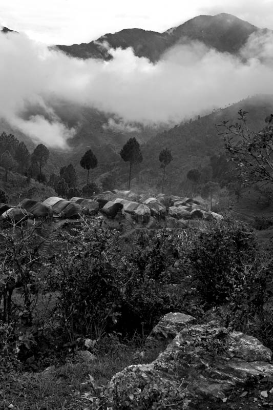 exploring genetic roots of the raute