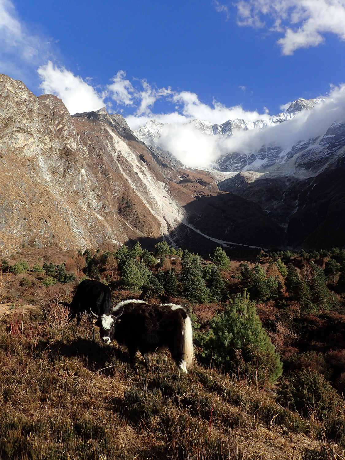 Tsum Valley in Nepal NT