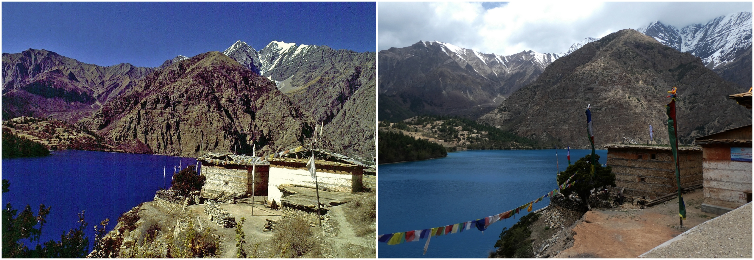 Dolpo collage images NT 9/10