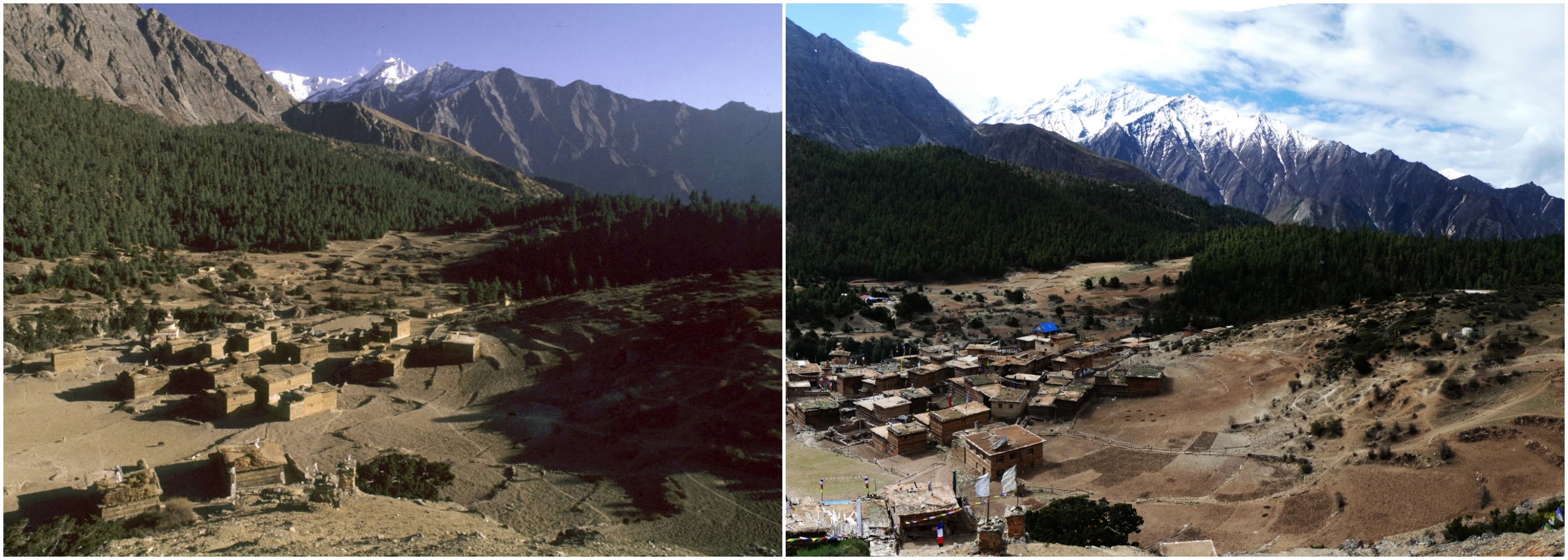Dolpo collage images NT 1/2