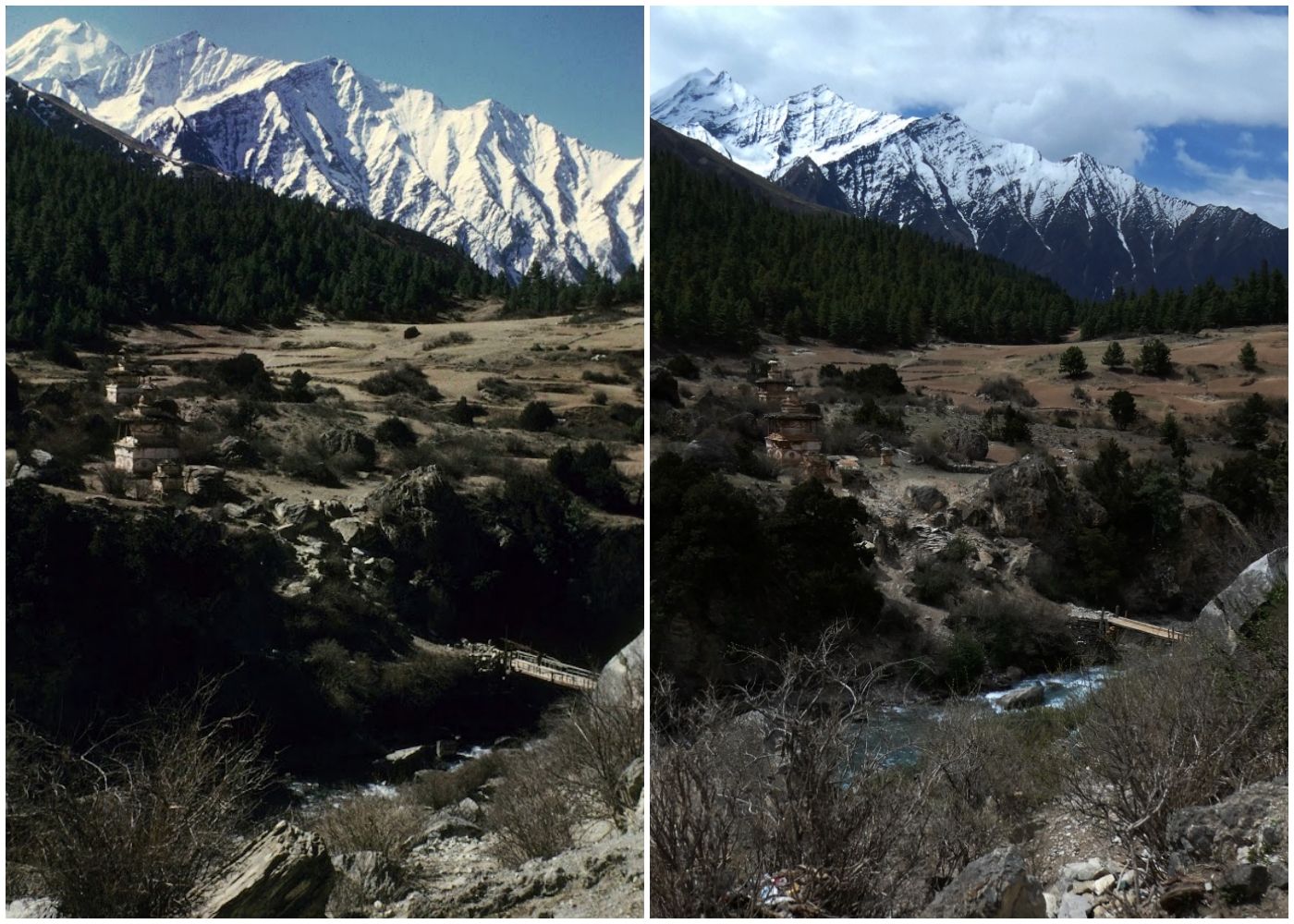 Dolpo collage images NT 5/6