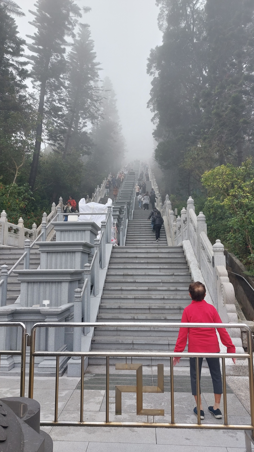 Big Buddha steps NT