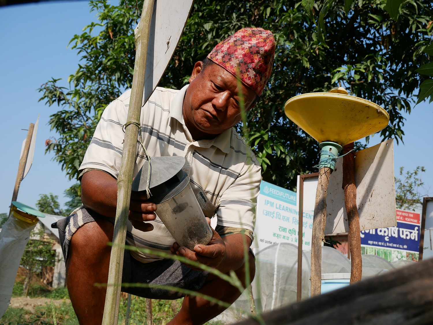 regenerative farming in Nepal