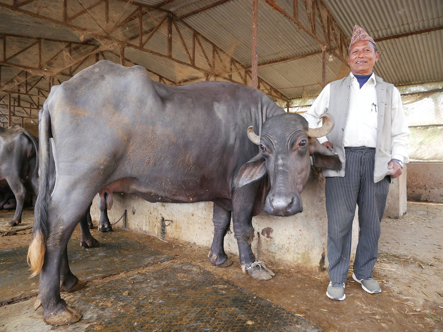 regenerative farming in Nepal