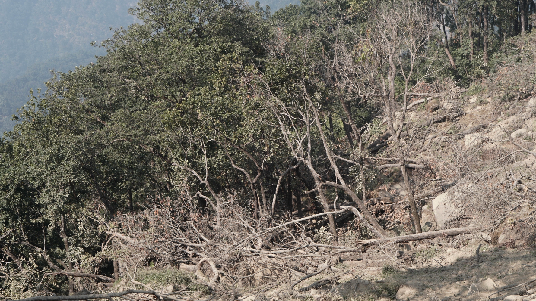 Families that farm together stay together Page 9 NT #1206