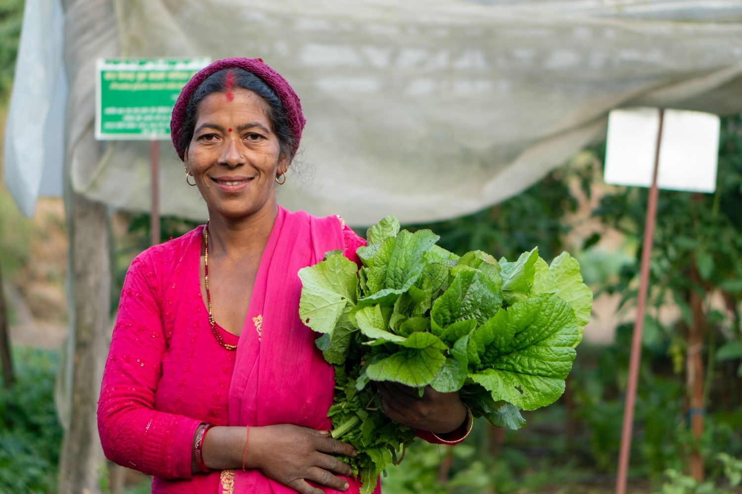 Families that farm together stay together Page 9 NT #1206