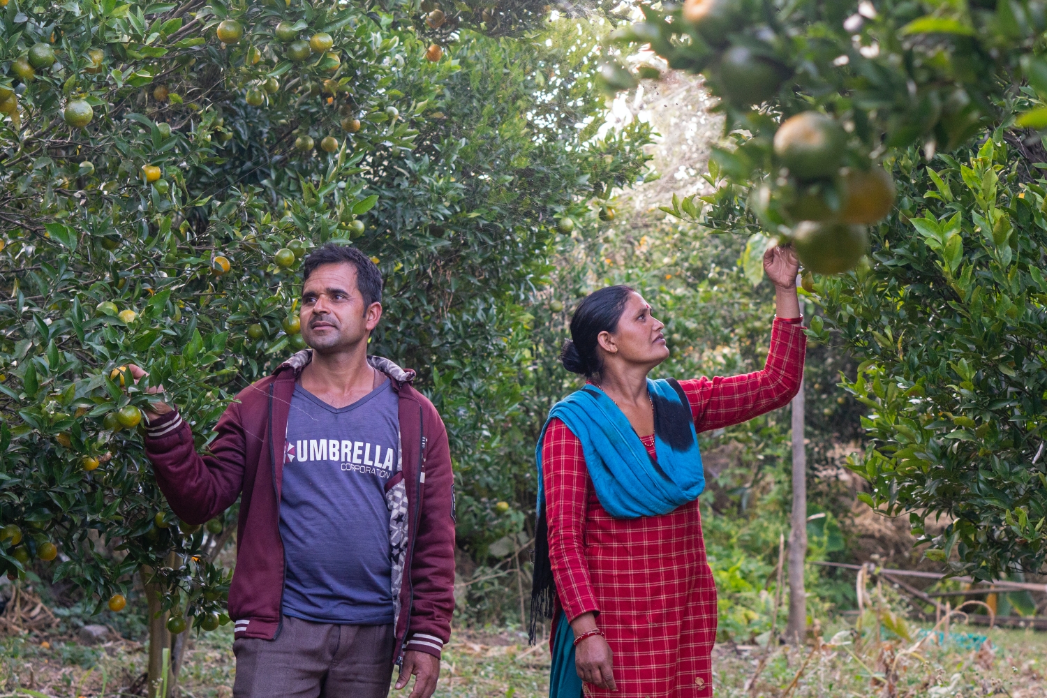 Families that farm together stay together Page 9 NT #1206