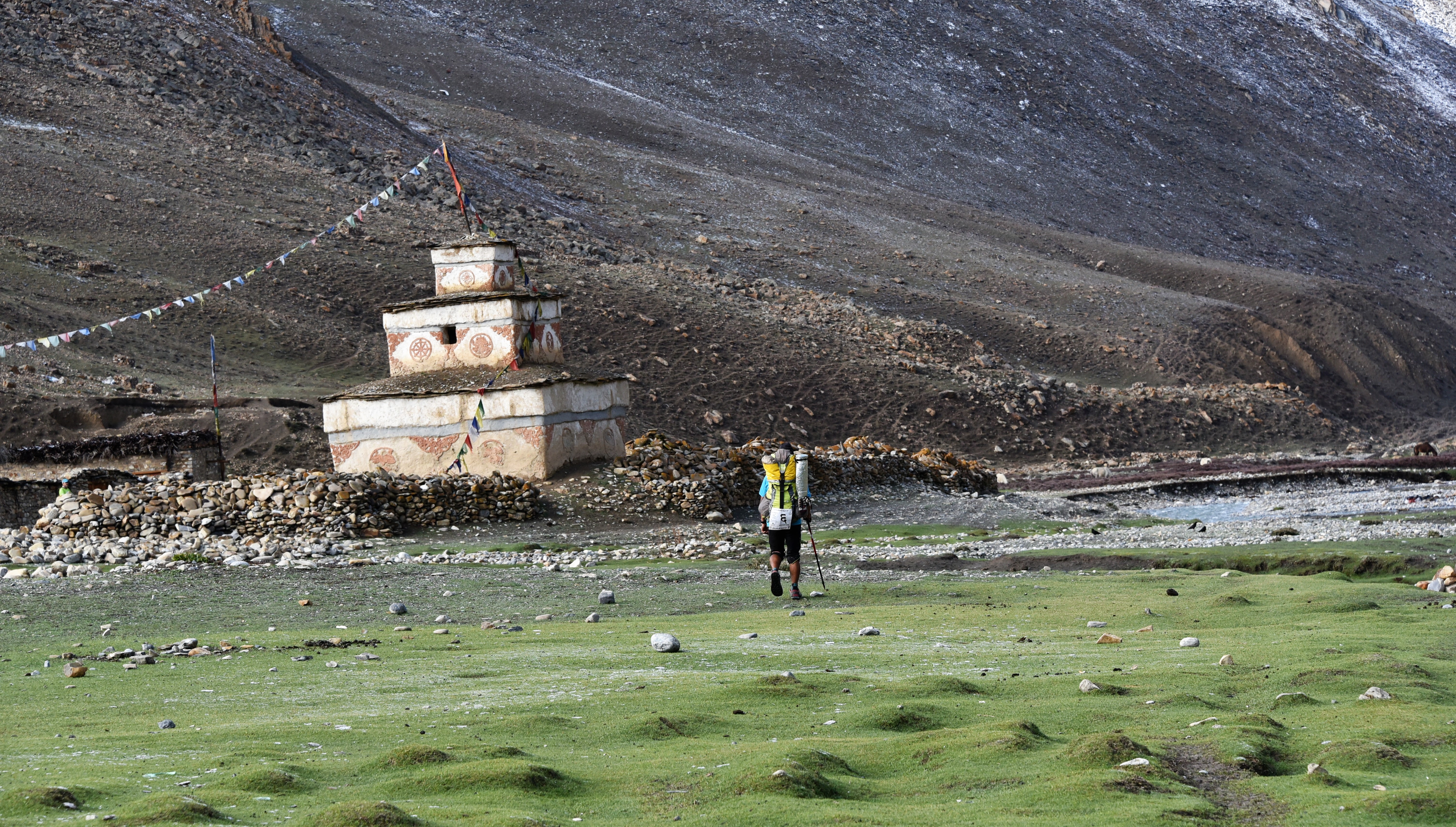 Hurtling through the Himalaya