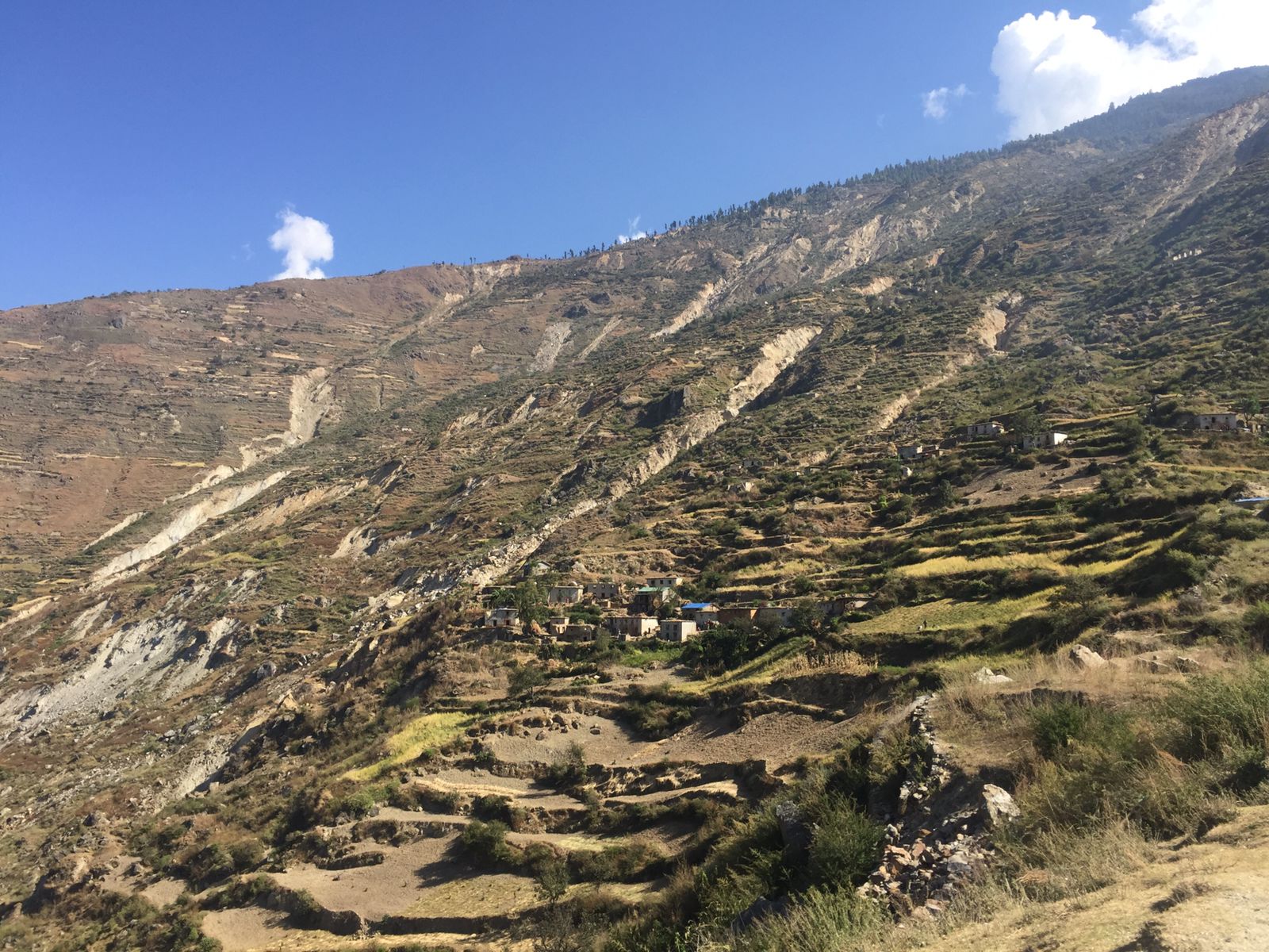 Muktikot