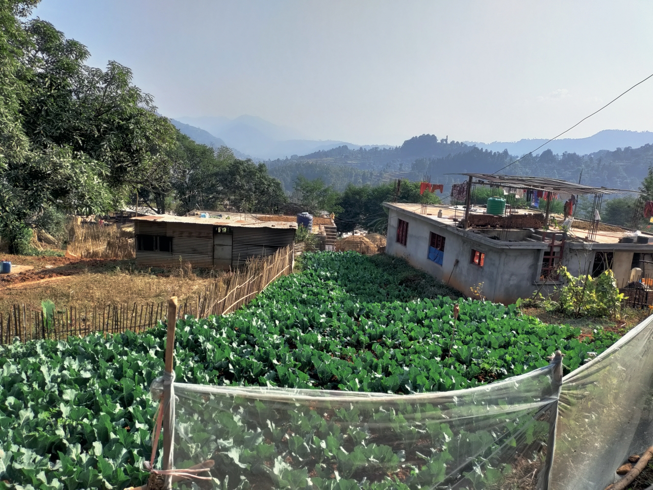 Pesticide use in Nepal NT