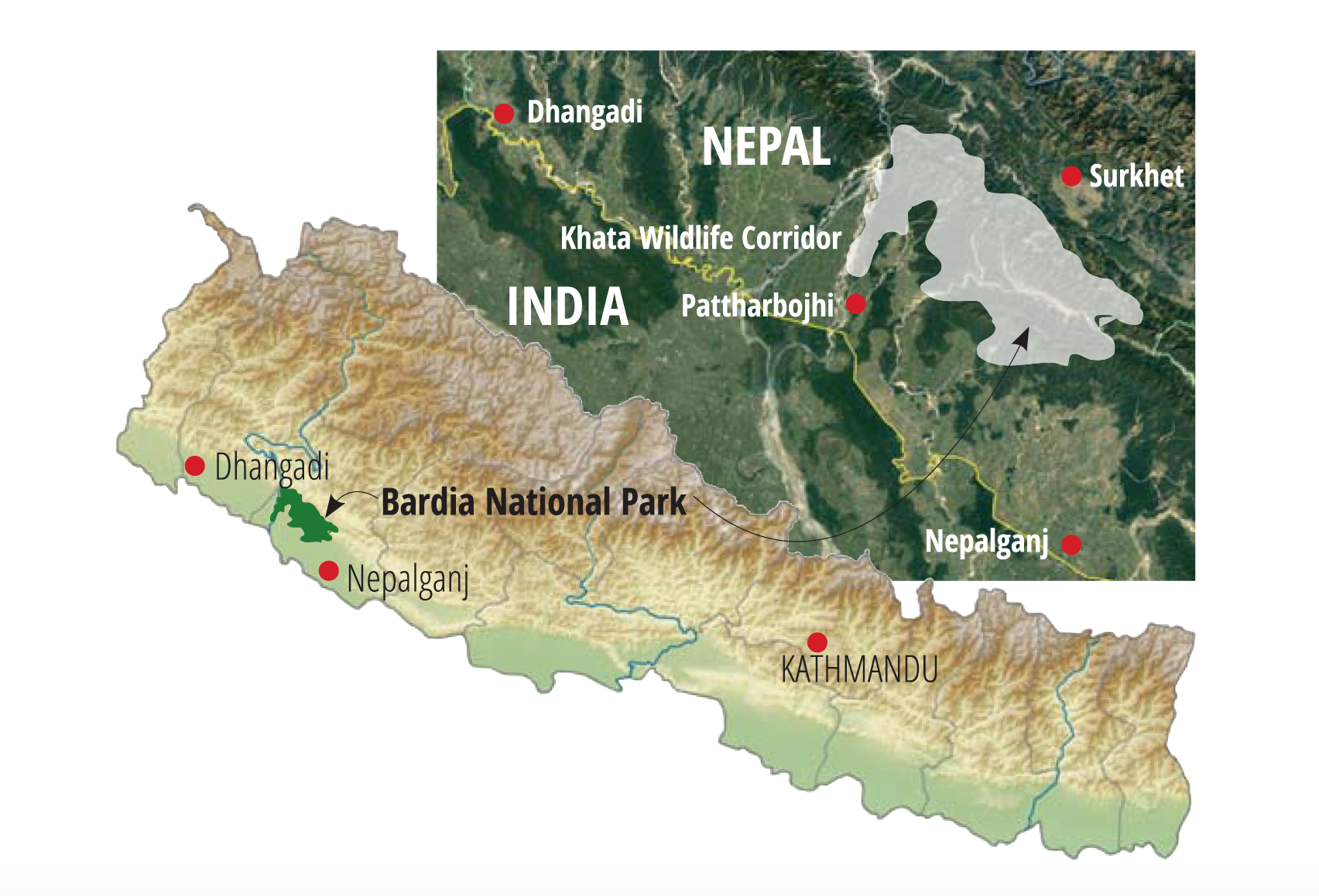 birds of Nepal