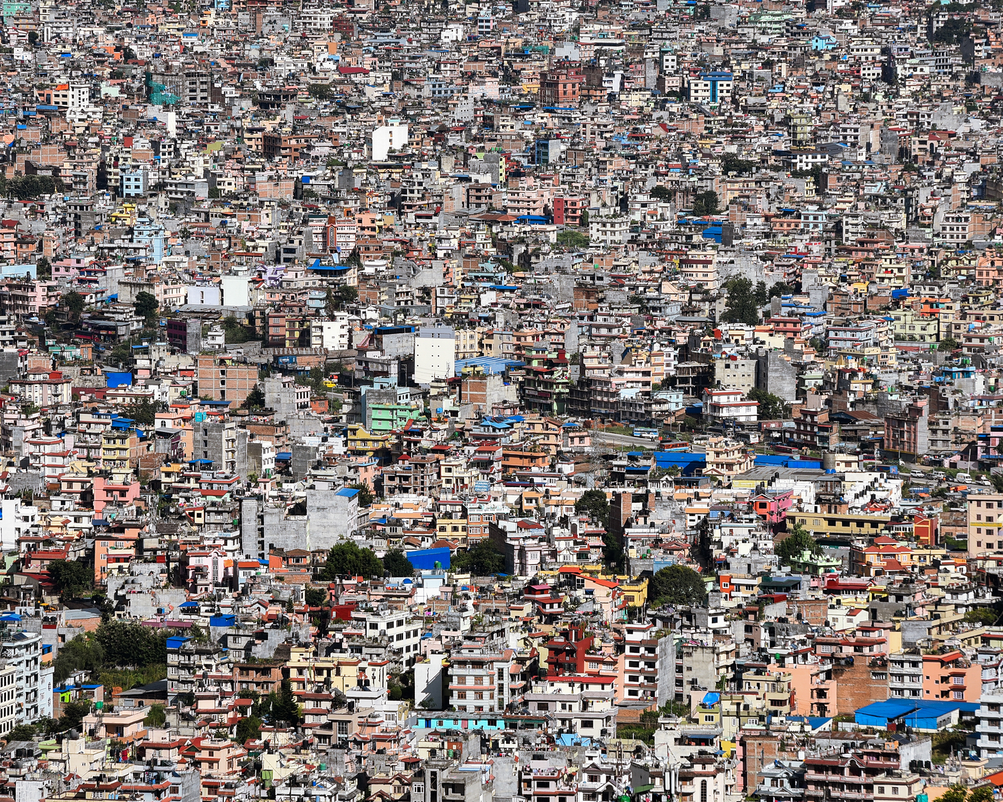 Rice planttion in Nepal