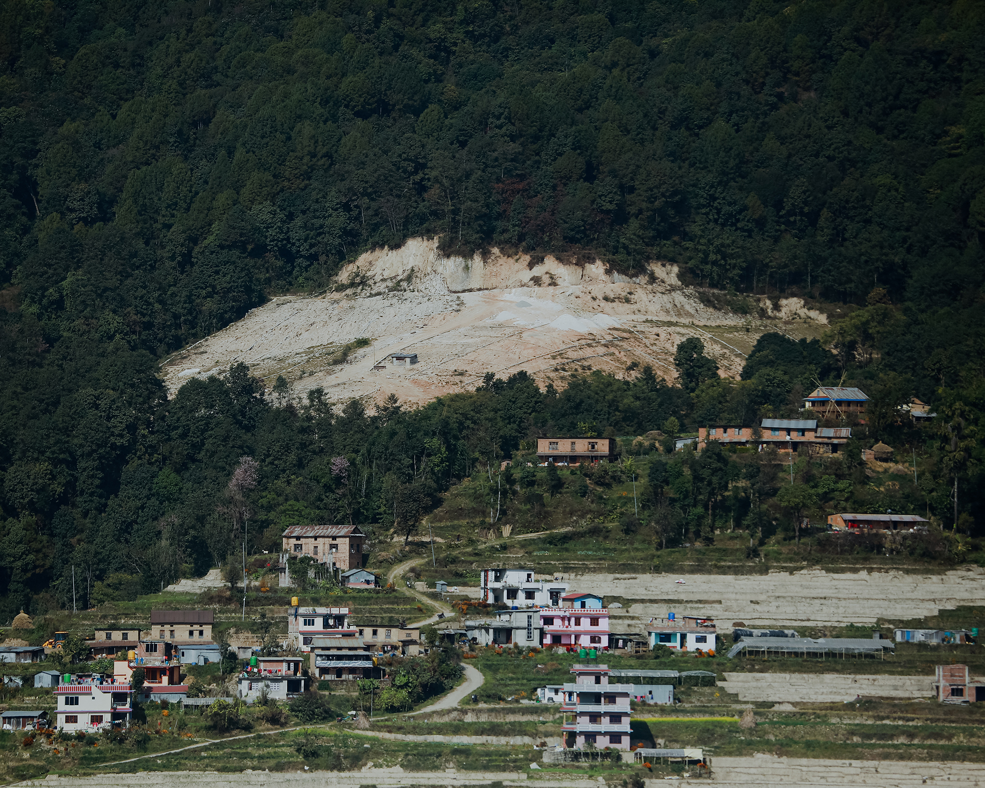 Rice production in nepal