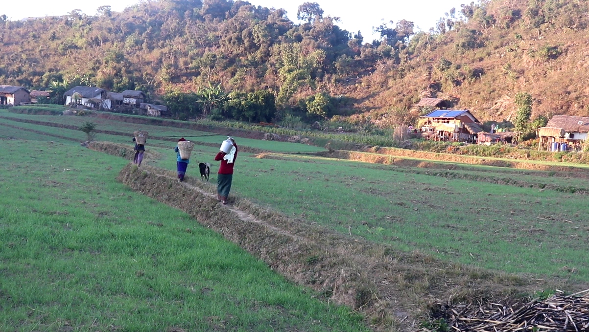 water crisis in Tarai Nepal