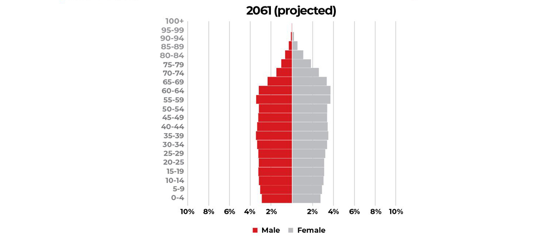 Nepal's population pyramid