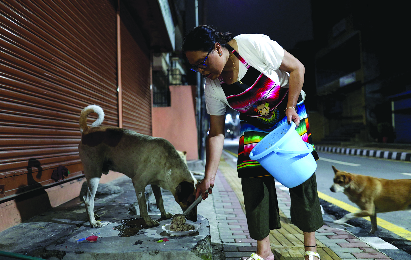 One dog at a time NT